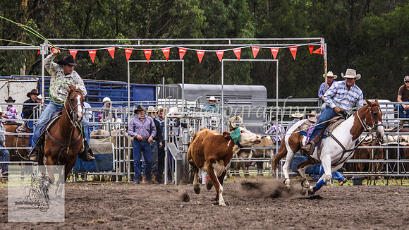 Picton_Rodeo_2009 066