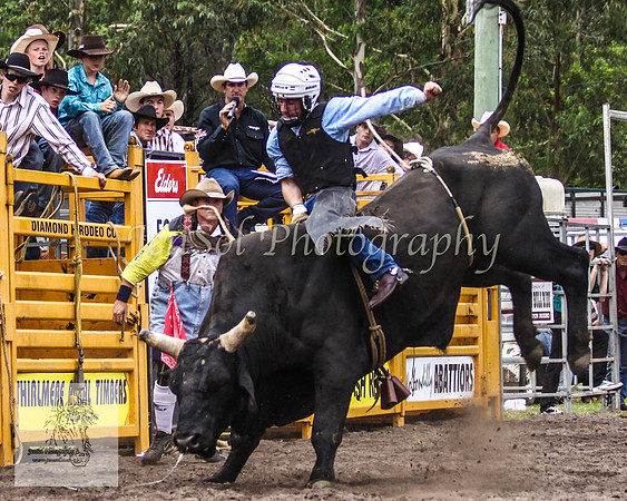 Picton_Rodeo_2009 449