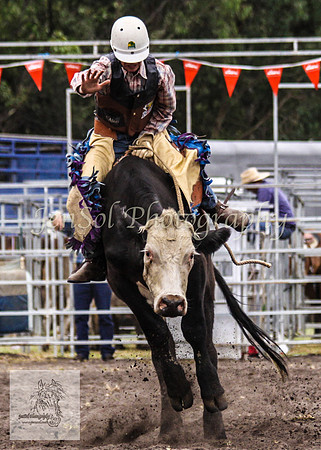 Picton_Rodeo_2009 183