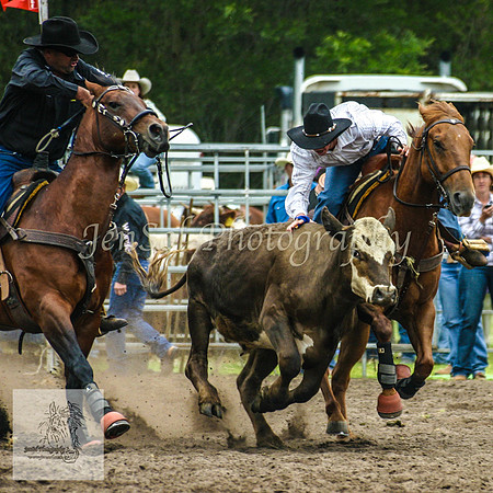 Picton_Rodeo_2009 119aKJS