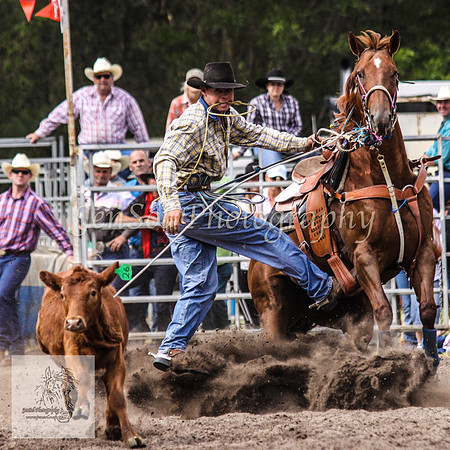 Picton_Rodeo_2009 505