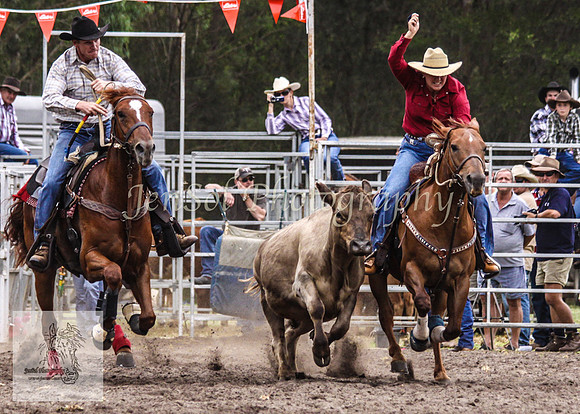 Picton_Rodeo_2009 208