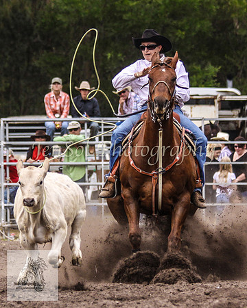 Picton_Rodeo_2009 453