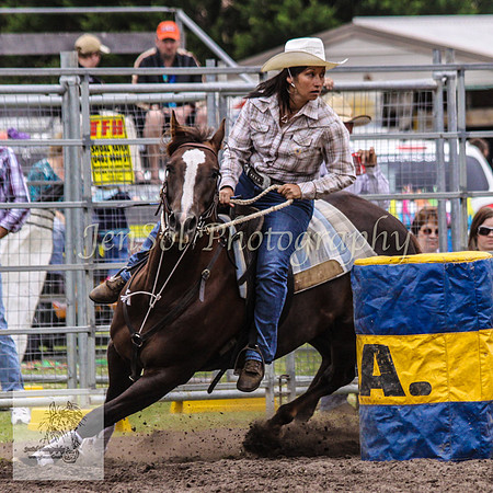 Picton_Rodeo_2009 018