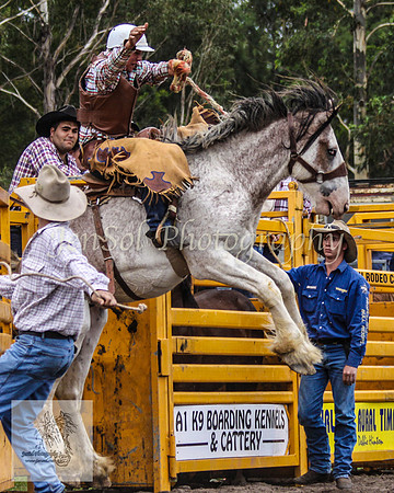 Picton_Rodeo_2009 411