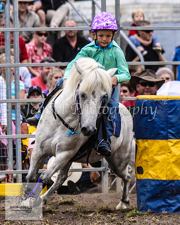 Picton_Rodeo_2009 329