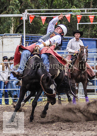 Picton_Rodeo_2009 372