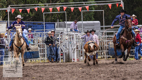 Picton_Rodeo_2009 091