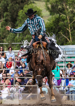 Picton_Rodeo_2009 472