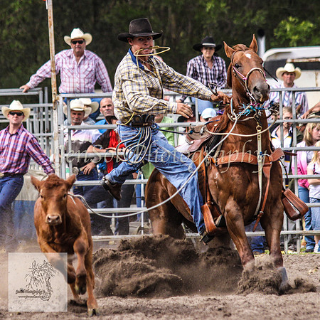 Picton_Rodeo_2009 504
