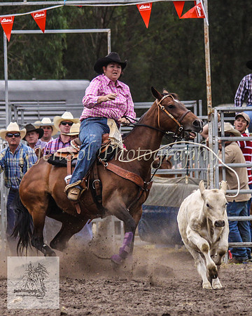 Picton_Rodeo_2009 251
