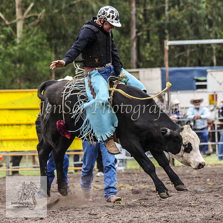 Picton_Rodeo_2009 188