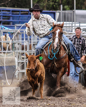 Picton_Rodeo_2009 150