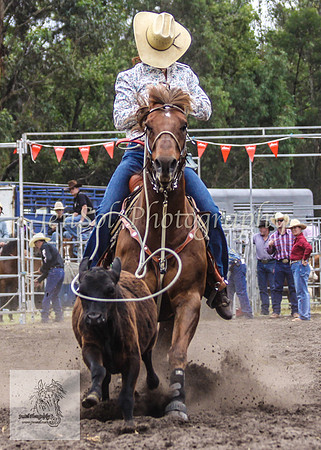 Picton_Rodeo_2009 235