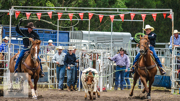 Picton_Rodeo_2009 171KJS