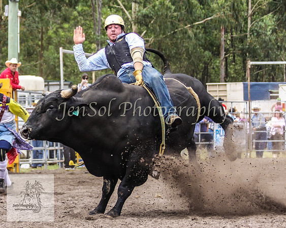 Picton_Rodeo_2009 447