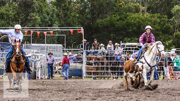 Picton_Rodeo_2009 153