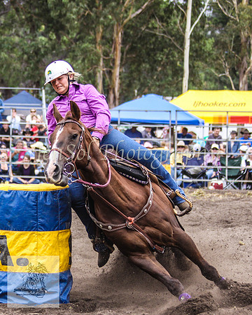 Picton_Rodeo_2009 268