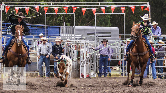 Picton_Rodeo_2009 072