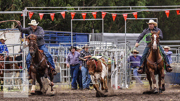 Picton_Rodeo_2009 163