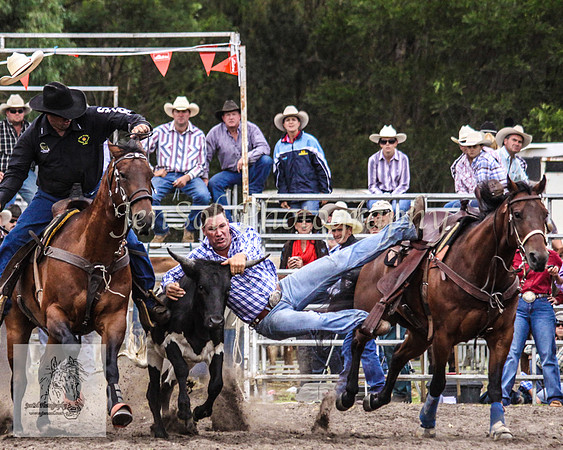 Picton_Rodeo_2009 428