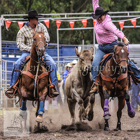 Picton_Rodeo_2009 199