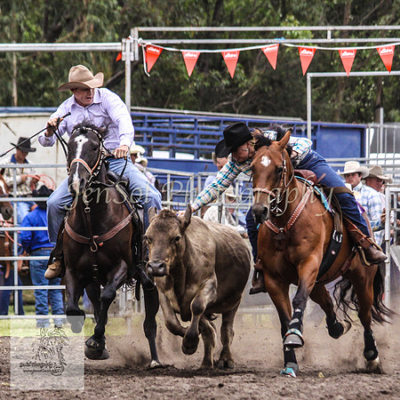 Picton_Rodeo_2009 120
