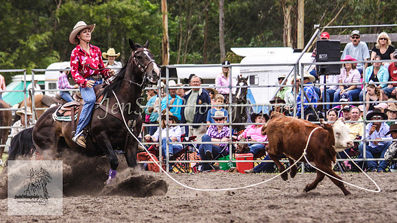 Picton_Rodeo_2009 246