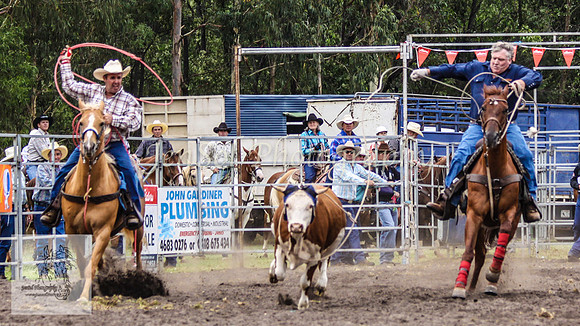 Picton_Rodeo_2009 157