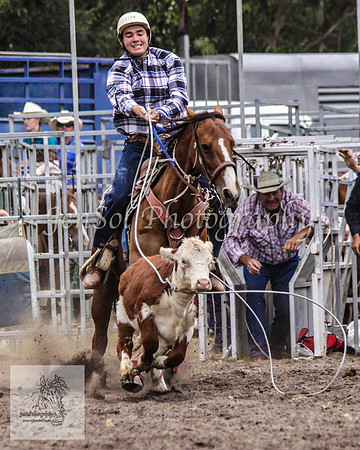 Picton_Rodeo_2009 137