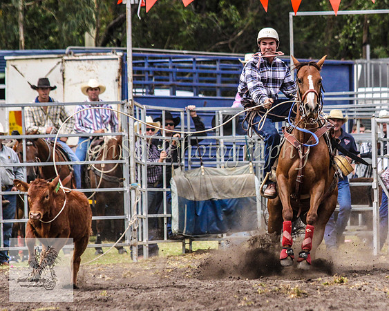 Picton_Rodeo_2009 499