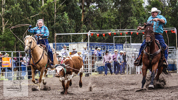 Picton_Rodeo_2009 357