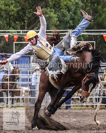 Picton_Rodeo_2009 401