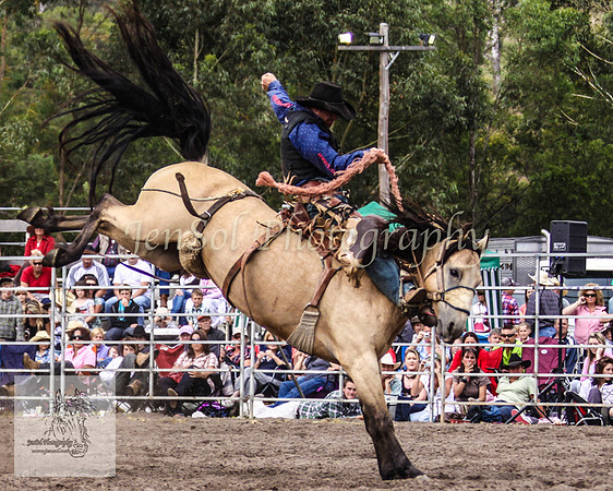 Picton_Rodeo_2009 460