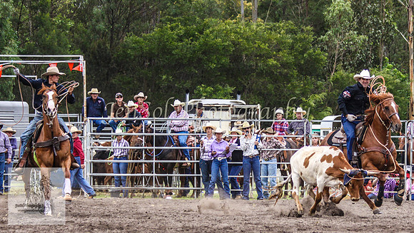Picton_Rodeo_2009 169