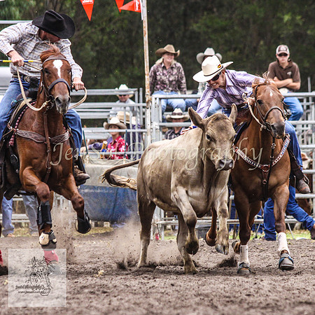 Picton_Rodeo_2009 123
