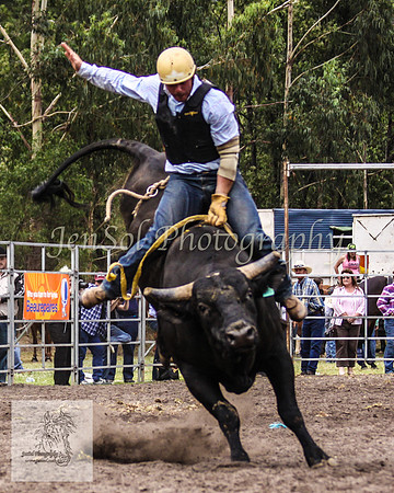 Picton_Rodeo_2009 445