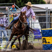 Picton_Rodeo_2009 003