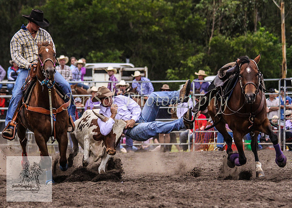 Picton_Rodeo_2009 422