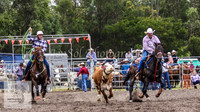 Picton_Rodeo_2009 076