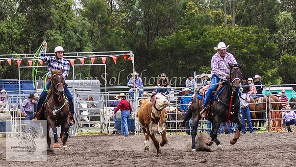 Picton_Rodeo_2009 076