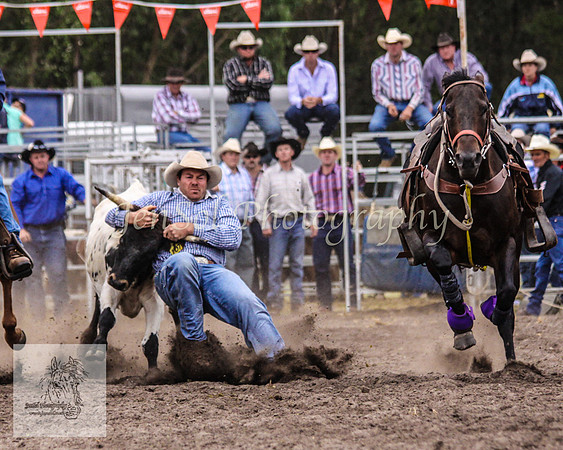 Picton_Rodeo_2009 436