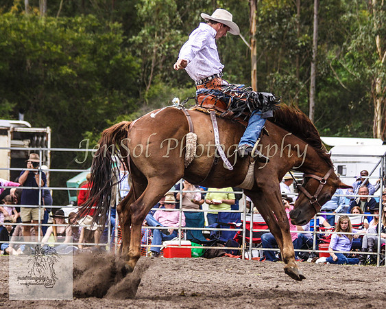 Picton_Rodeo_2009 476