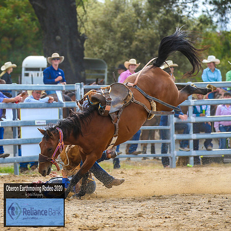 OberonRodeo2020_3931