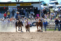 BungendoreRodeo2014_1574