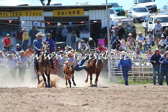 BungendoreRodeo2014_1576
