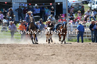 BungendoreRodeo2014_1588