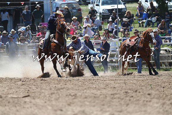BungendoreRodeo2014_1579