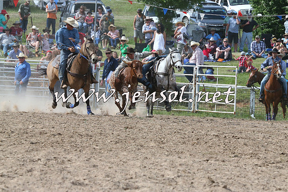 BungendoreRodeo2014_2293