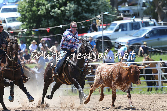 BungendoreRodeo2014_1605